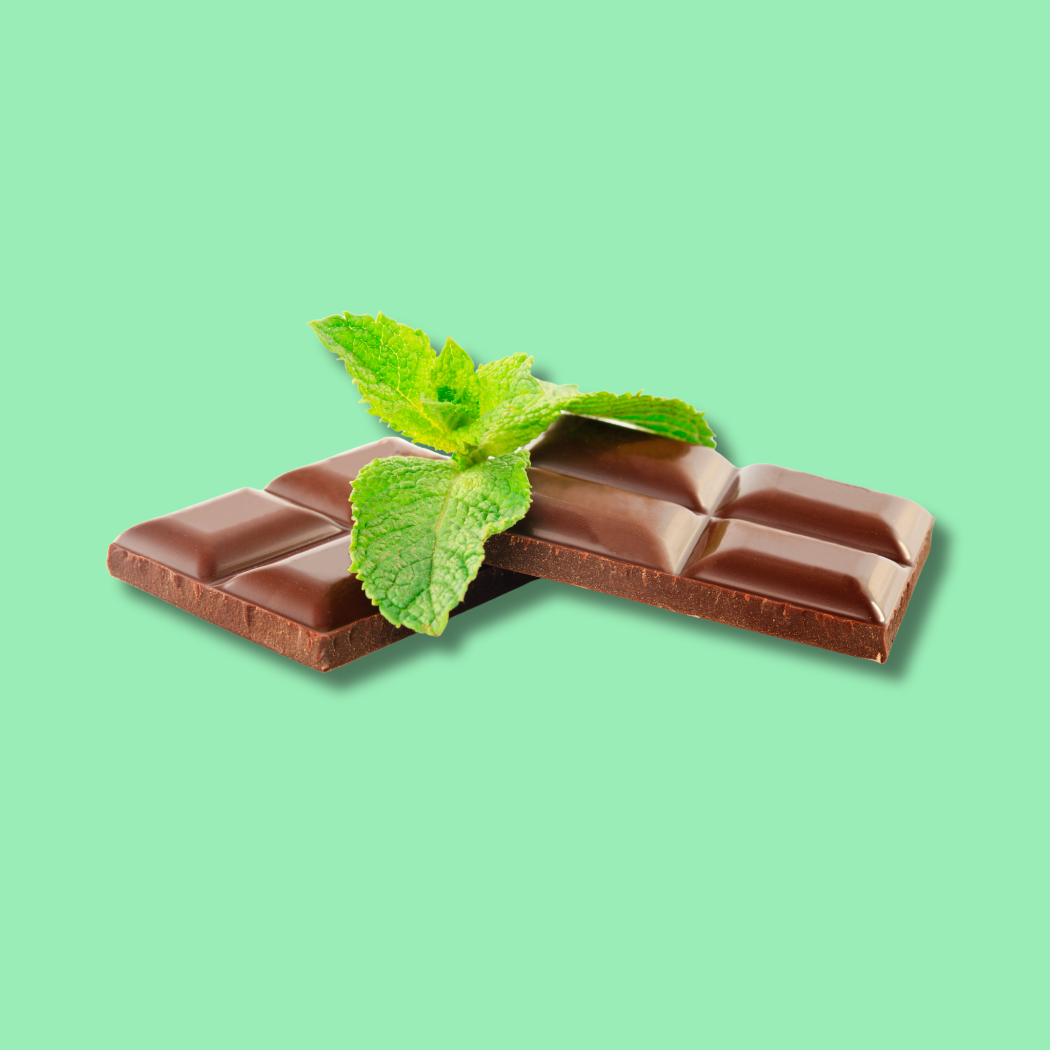 Mint Chocolate Fragrance Oil